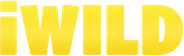 iWild Casino logo